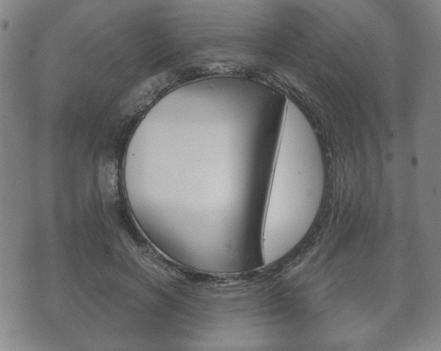 X0000072550646200607141012