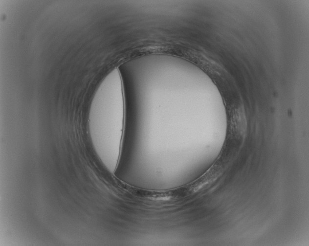 X0000072550651200607141013