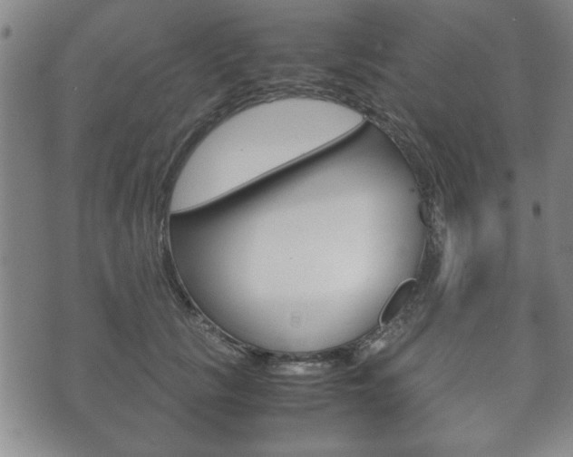 X0000072550657200607141013