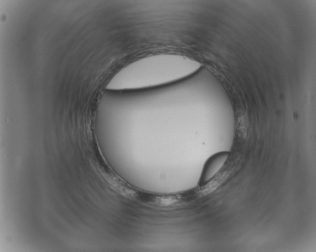 X0000072550662200607141013