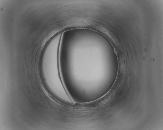 X0000072550677200607141012