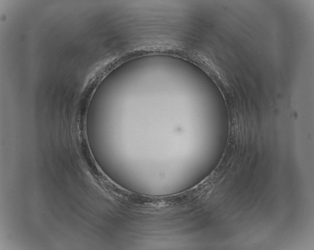 X0000072550688200607141012