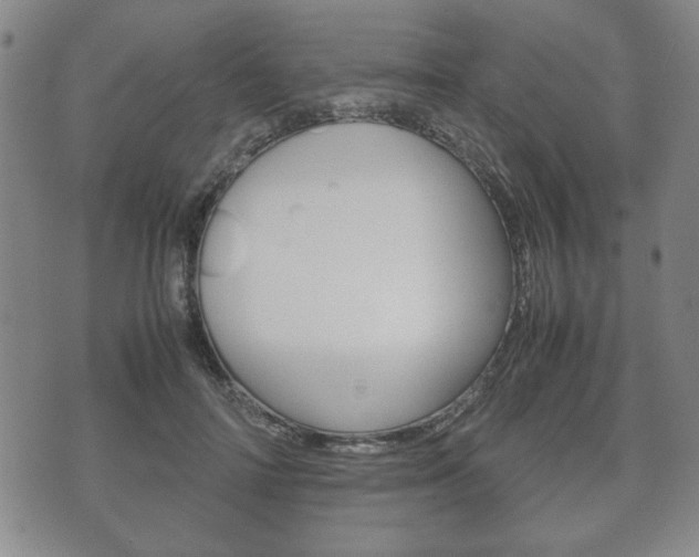 X0000072550698200607141012