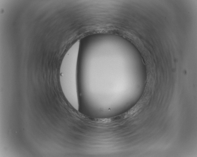 X0000072550720200607141011
