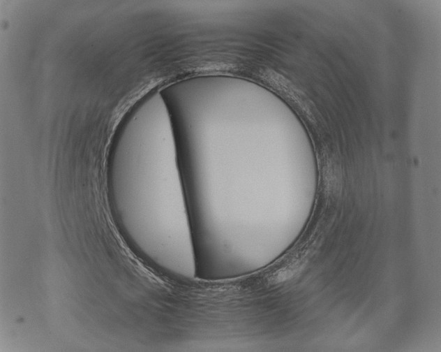 X0000072550721200607141011
