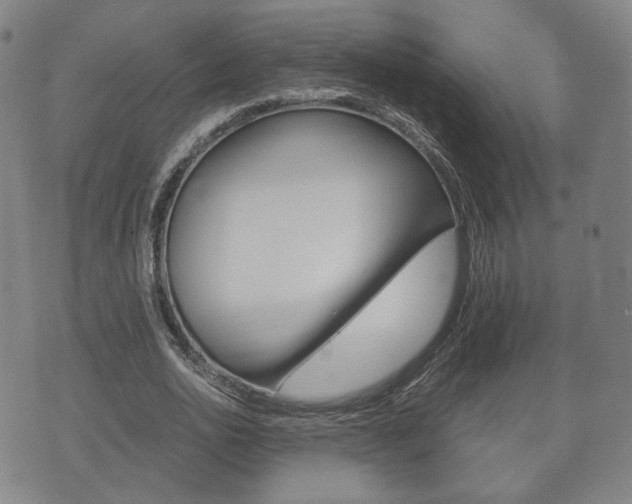 X0000072550726200607141011