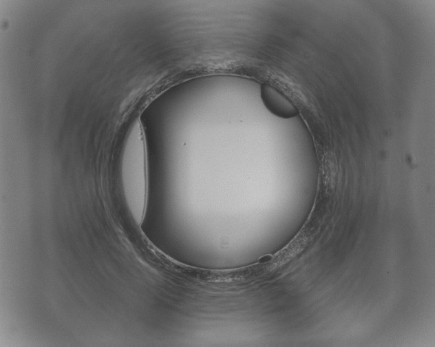 X0000072550740200607141011