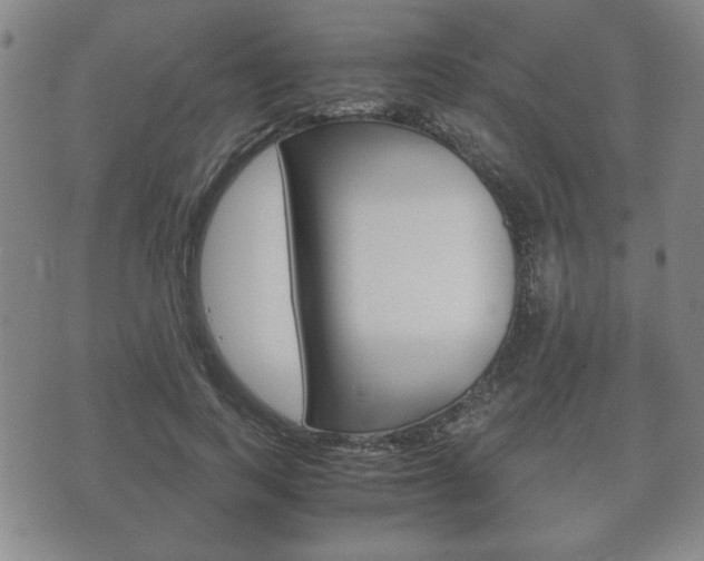 X0000072550743200607141011