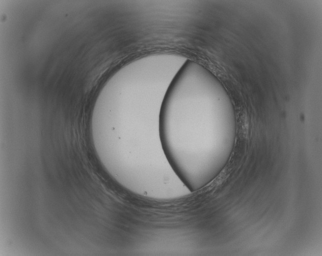 X0000072550746200607141011