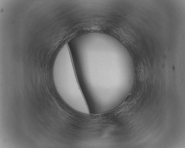 X0000072550747200607141011