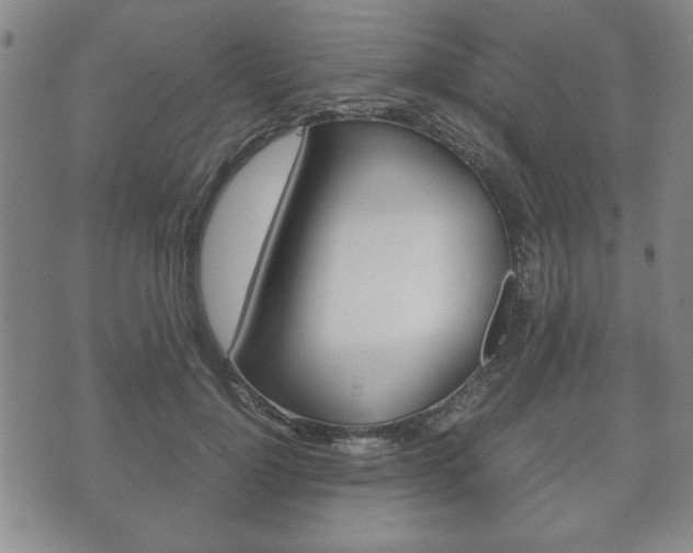 X0000072550748200607141011