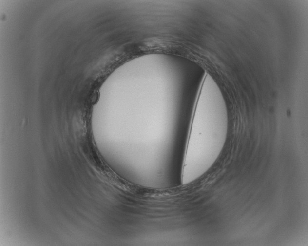 X0000072550751200607141011