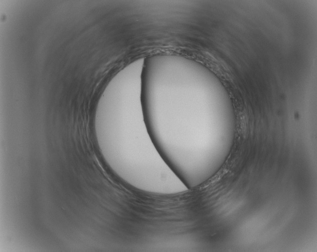 X0000072550757200607141011