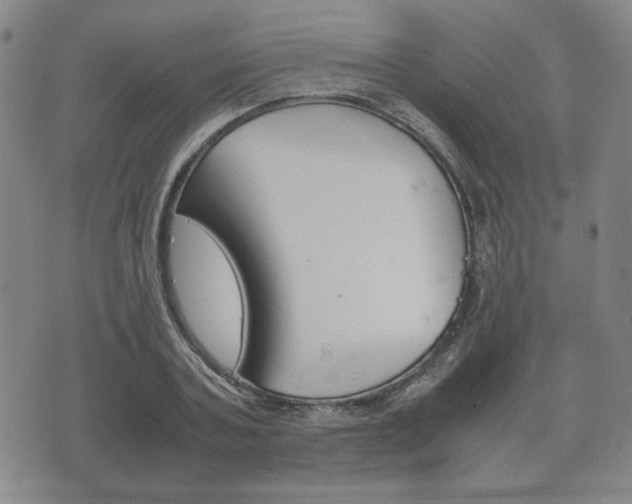 X0000072550787200607141010