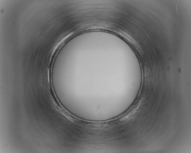 X0000072550790200607141010