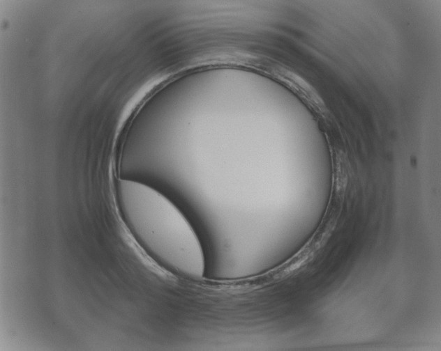 X0000072550796200607141010