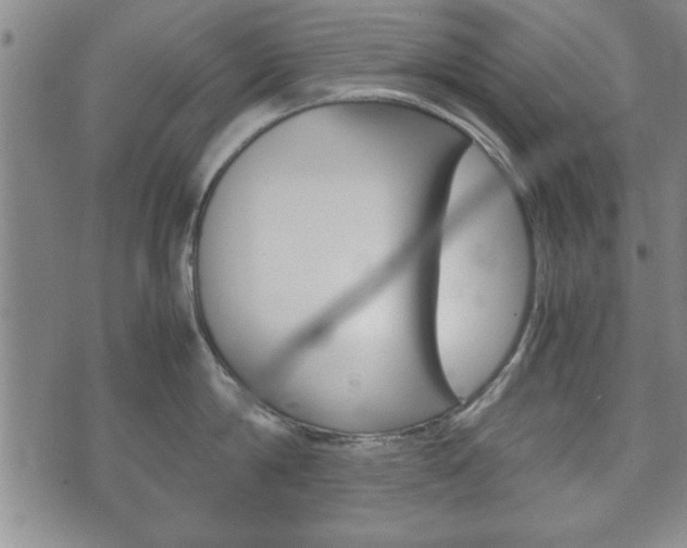X0000072550814200607141010