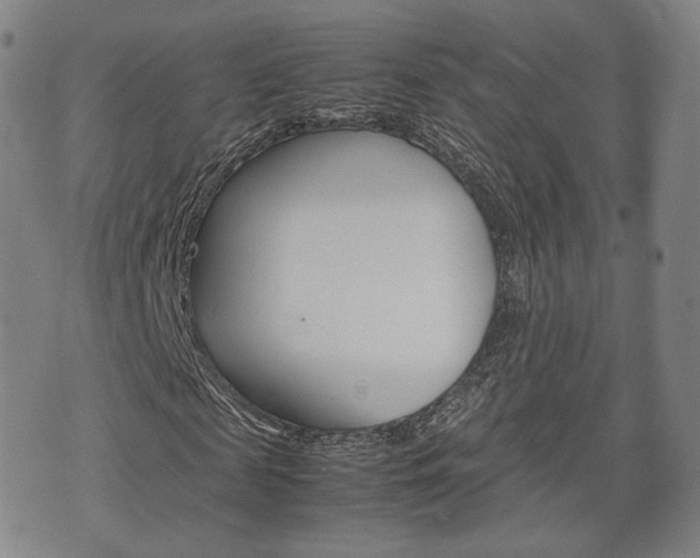 X0000072550817200607141009
