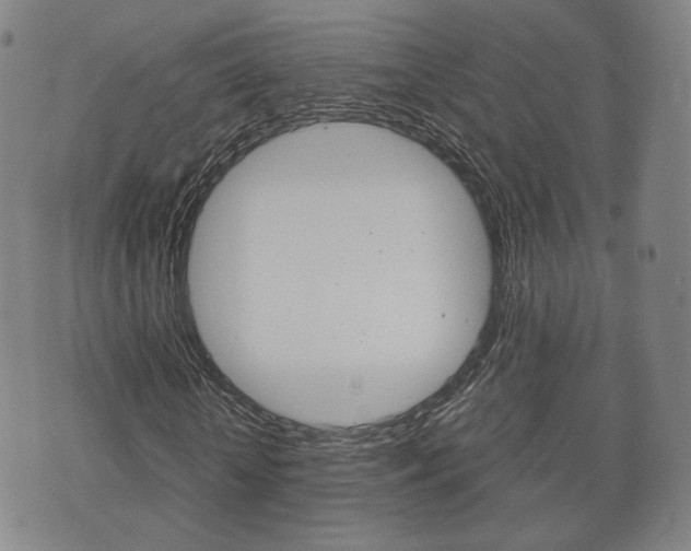 X0000072550818200607141009