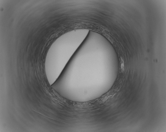 X0000072550819200607141009