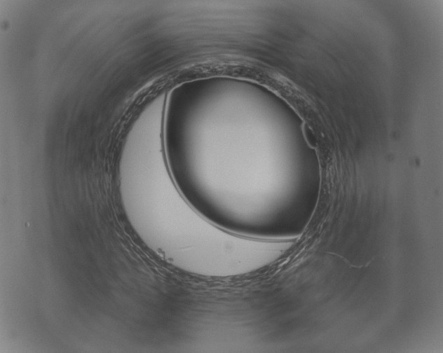 X0000072550822200607141009