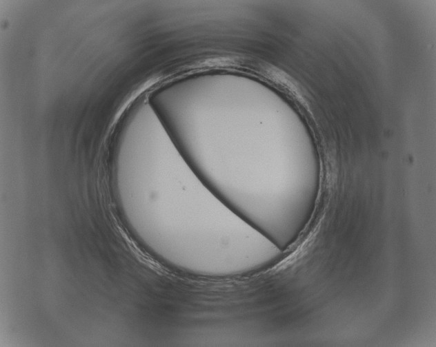 X0000072550827200607141009