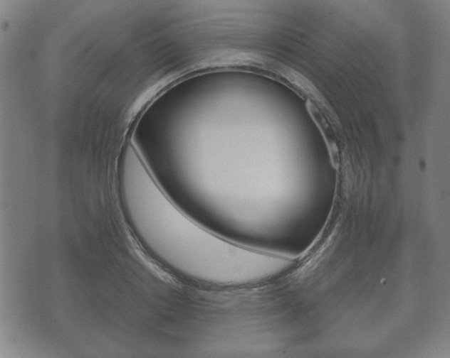 X0000072550842200607141009