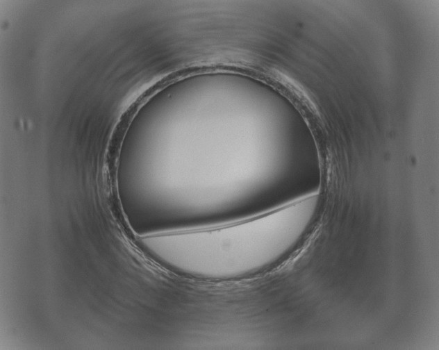 X0000072550876200607141009