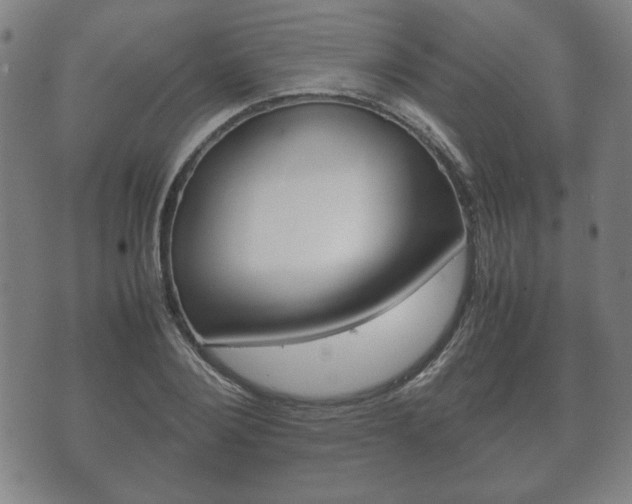 X0000072550884200607141009