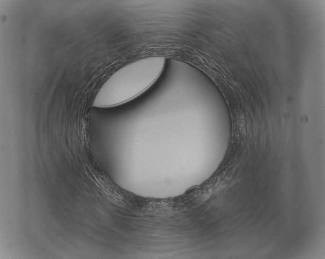 X0000072550914200607141007