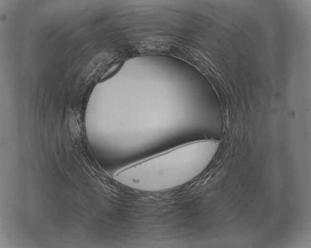 X0000072550915200607141007