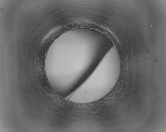 X0000072550919200607141007