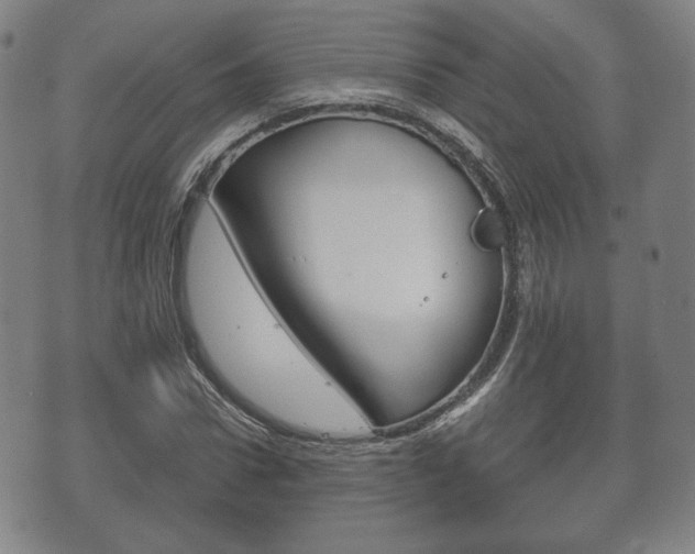X0000072550922200607141008