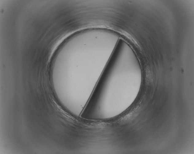 X0000072550926200607141008