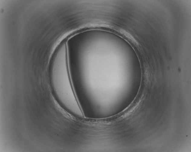 X0000072550934200607141008