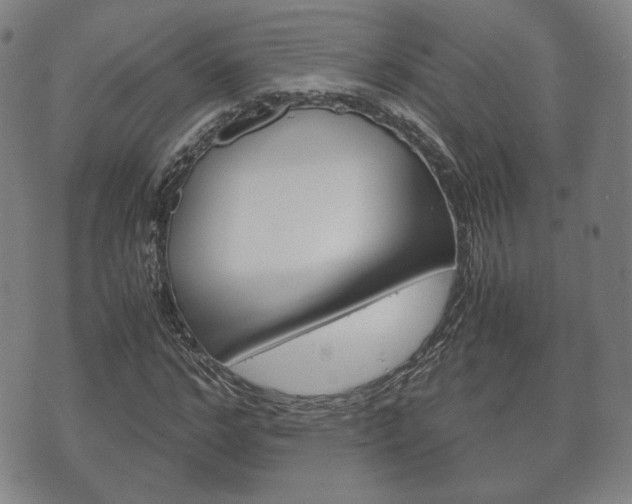 X0000072550968200607141007