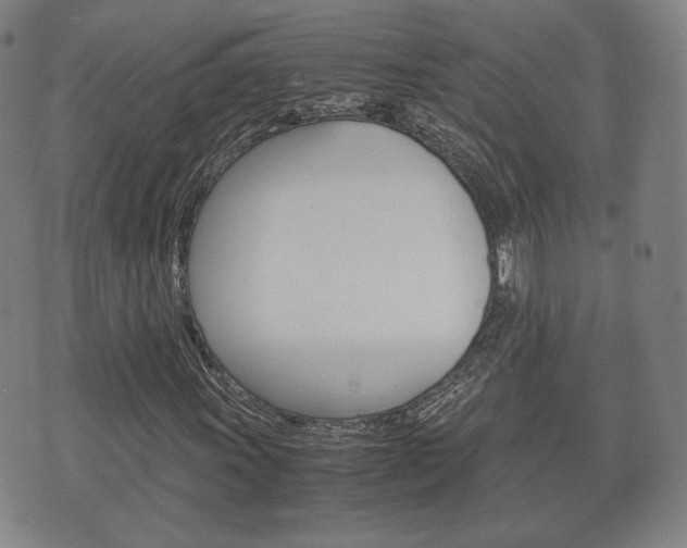 X0000072551011200607141006