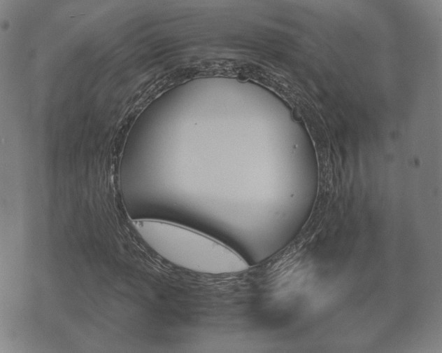 X0000072551013200607141006