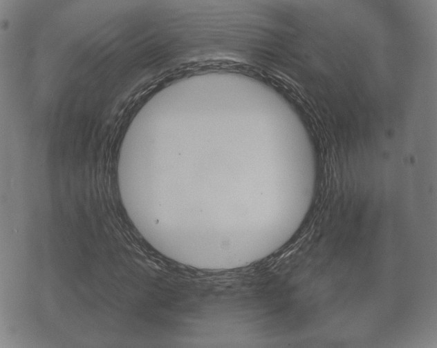 X0000072551014200607141006