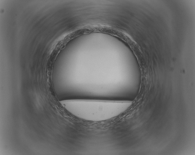 X0000072551016200607141006