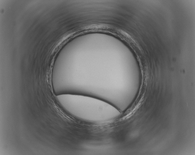 X0000072551017200607141006