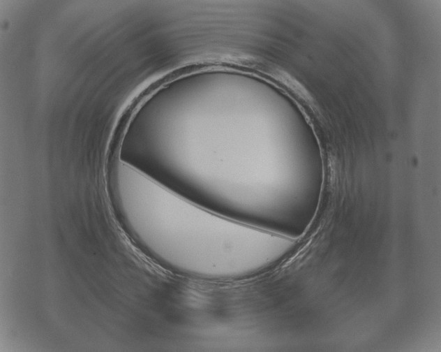 X0000072551020200607141006