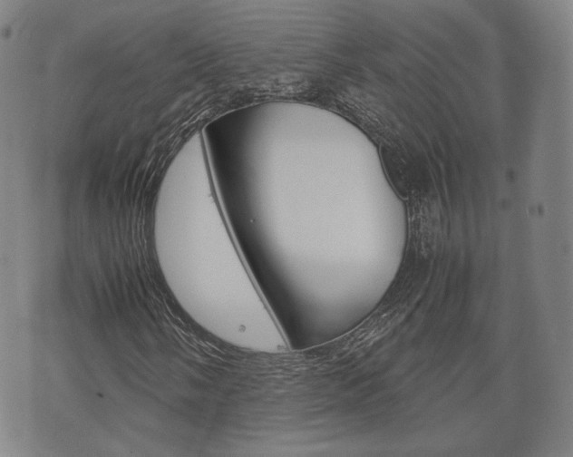 X0000072551058200607141006