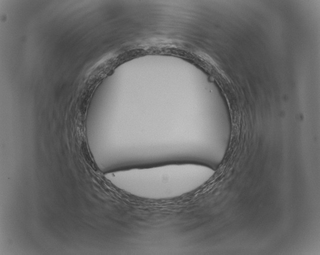 X0000072551063200607141006