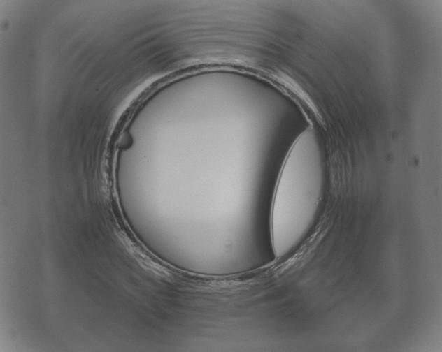 X0000072551068200607141006