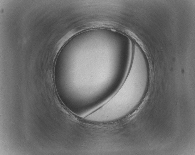 X0000072551089200607141005