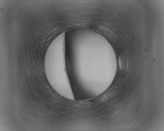 X0000072551107200607141004