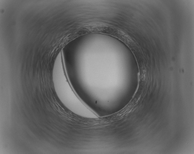 X0000072551108200607141004