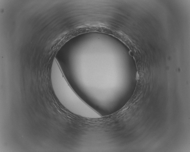 X0000072551110200607141004
