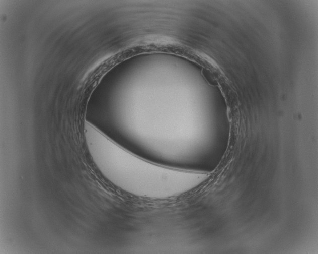 X0000072551112200607141004
